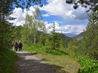 Frauenschuh-20160607 121