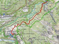 Frauenschuh-20160607 400