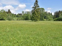 Murnauer-Moos 2018005 107