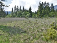 Murnauer-Moos 2018005 116