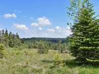 Murnauer-Moos 2018005 124