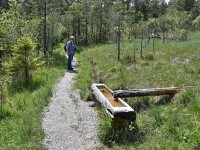 Murnauer-Moos 2018005 125