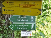 Auf Internationalen Wegen