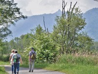 Wie ein kleines Matterhorn ;-)