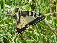 Kein Unwetterschaden