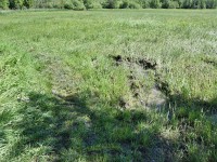 Kein durchkommen, unser Weg ist überschwemmt