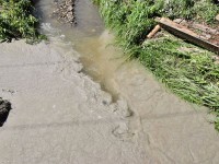 Murnauer-Moos 2018005 209