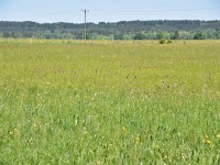 Murnauer-Moos 2018005 210