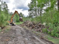 Alles aus dem Lindenbach