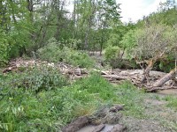 Murnauer-Moos 2018005 225