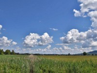 Murnauer-Moos 2018005 247