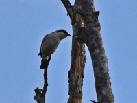 Murnauer-Moos 2018005 268