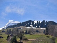 Noch schnee auf dem Birbühel