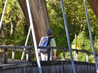 Herrschaft-20171012 113