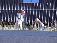 Herrschaft-20171013 233