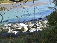 ... chumer zur Taminamündig