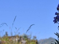 Gschwüschterti - Tag 2016