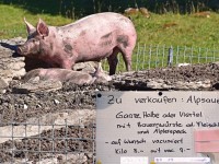 Gottlett, hener bschtellt?