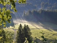 Schöewetternäbel am Morge