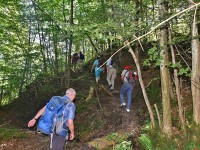 e chli ui un e chli äi dure Wald