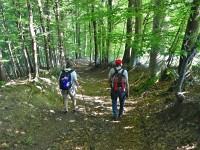 Dr Studnerberg ähi isch all no stutzig