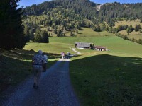 Mer hen no rechti Pilzler gseä