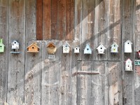 Fascht wi Reiähüsli