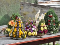 Chopfschmugg für behornti Chüe